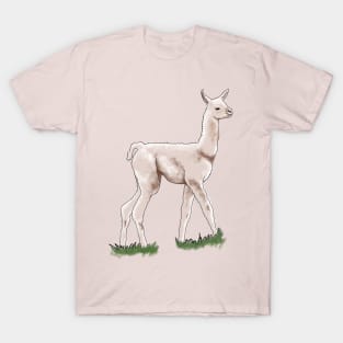 llama T-Shirt